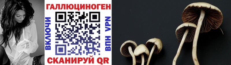 Псилоцибиновые грибы Cubensis  Воронеж 